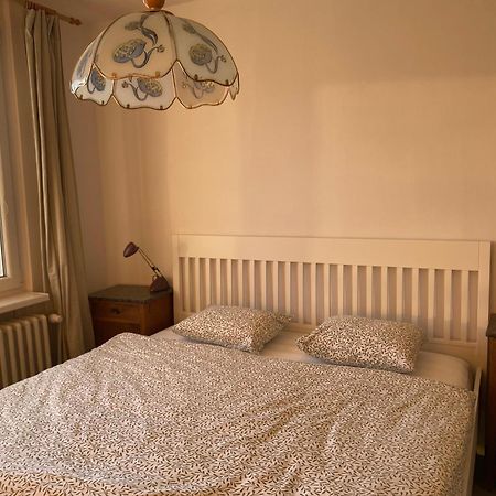 Apartman Pod Studenou Horou ロキトニツェ・ナト・イゼロウ エクステリア 写真