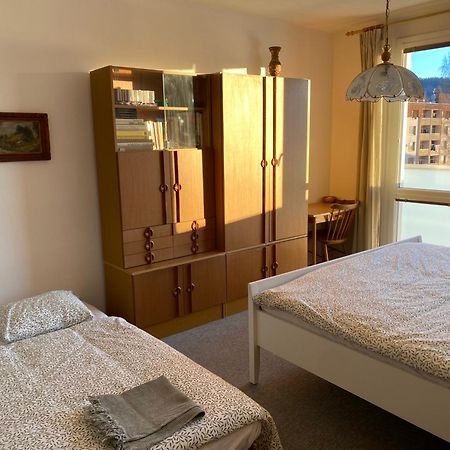 Apartman Pod Studenou Horou ロキトニツェ・ナト・イゼロウ エクステリア 写真