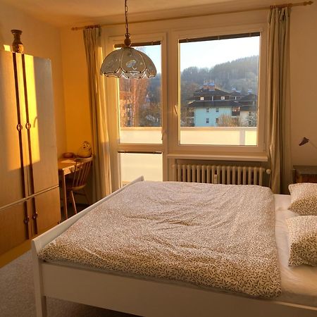 Apartman Pod Studenou Horou ロキトニツェ・ナト・イゼロウ エクステリア 写真