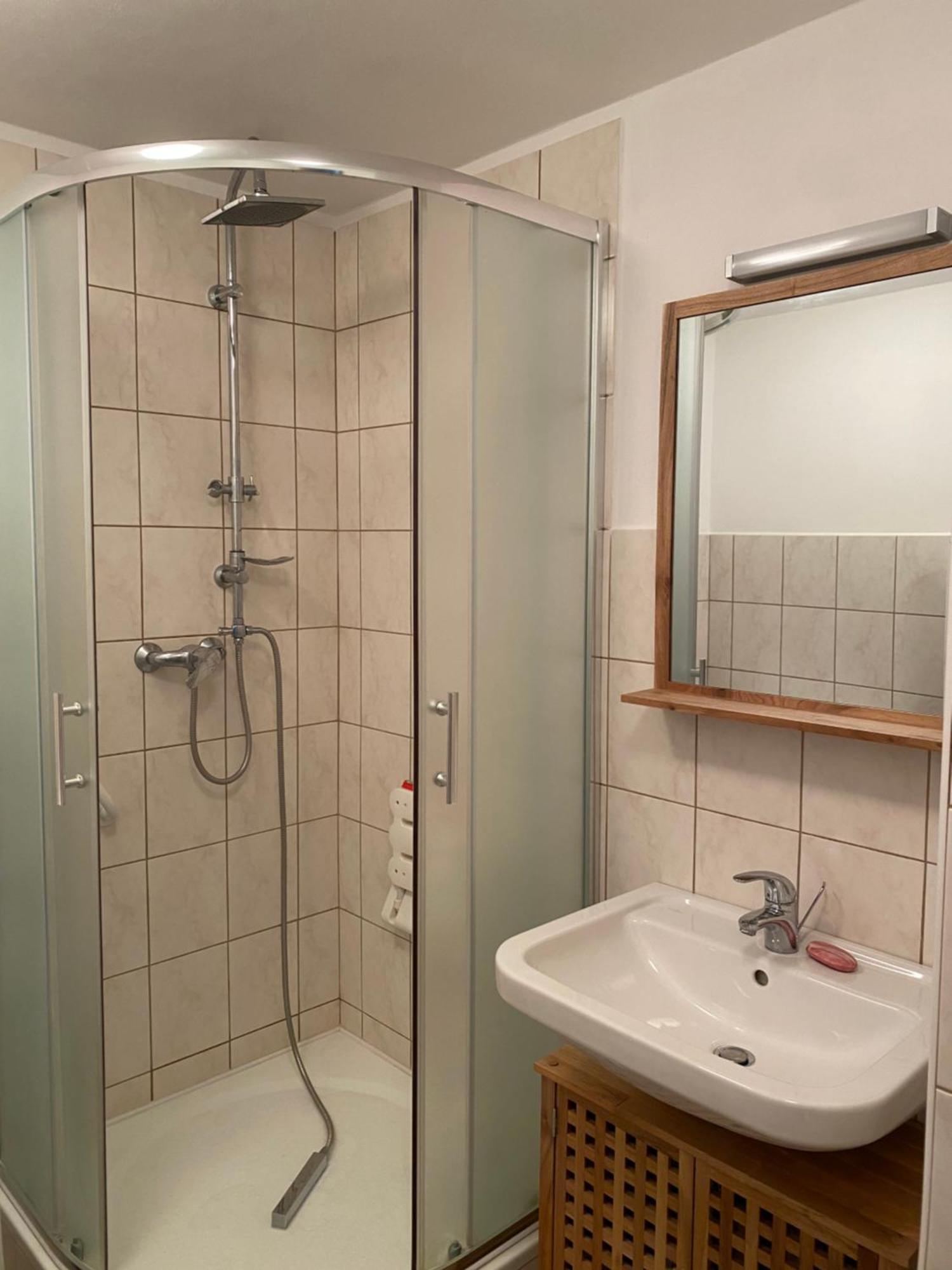 Apartman Pod Studenou Horou ロキトニツェ・ナト・イゼロウ エクステリア 写真