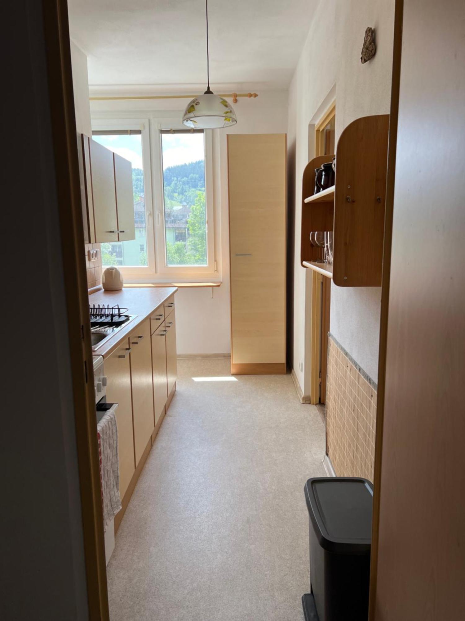 Apartman Pod Studenou Horou ロキトニツェ・ナト・イゼロウ エクステリア 写真