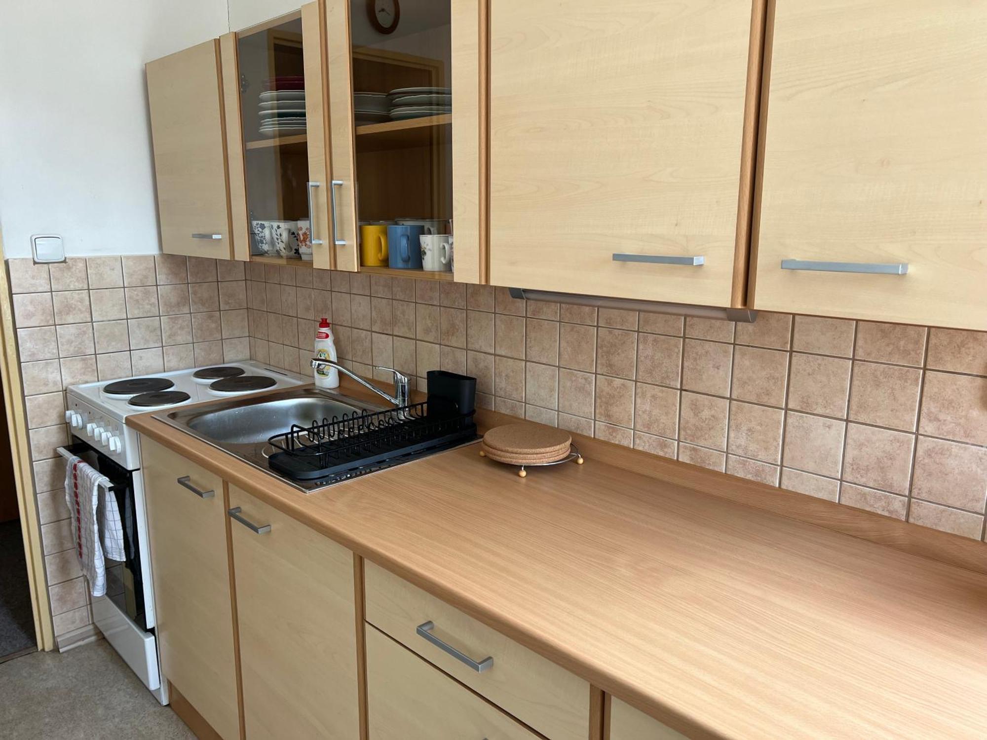 Apartman Pod Studenou Horou ロキトニツェ・ナト・イゼロウ エクステリア 写真