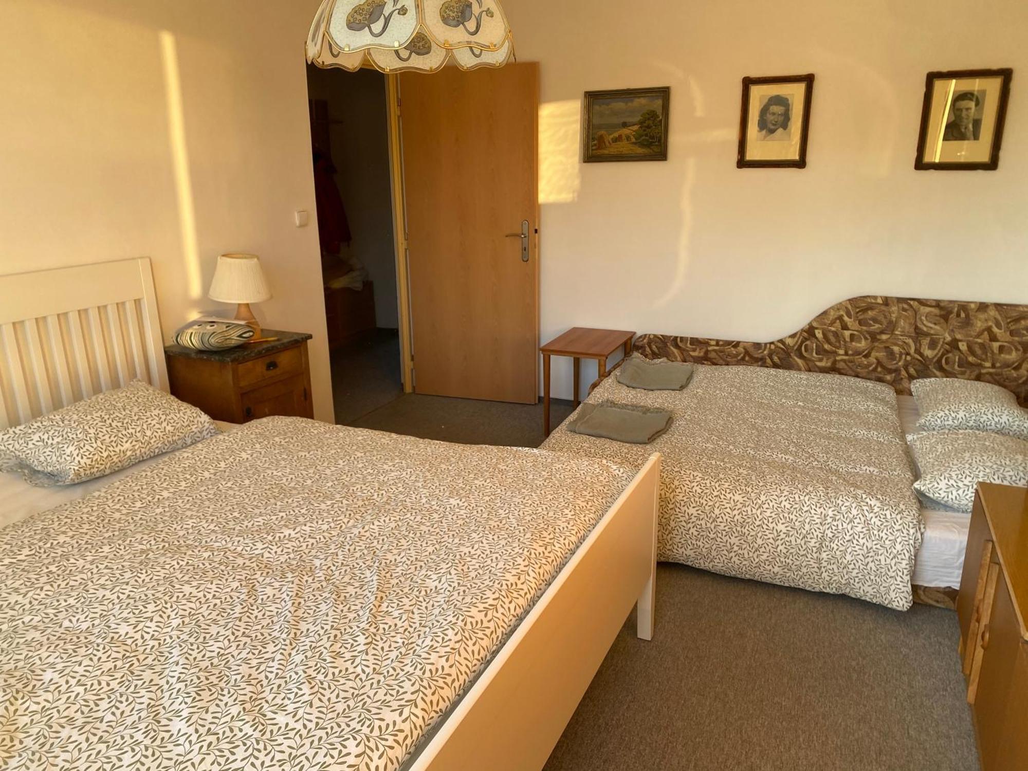 Apartman Pod Studenou Horou ロキトニツェ・ナト・イゼロウ エクステリア 写真