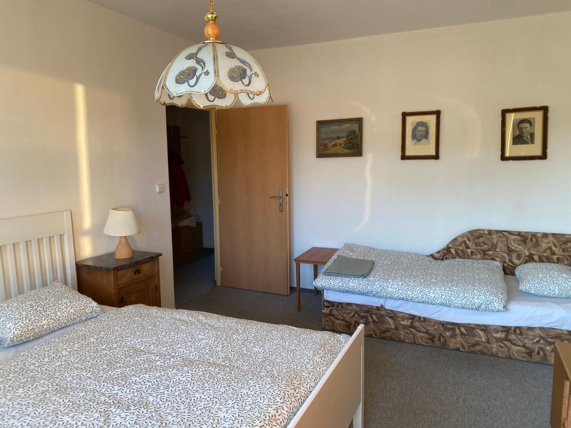 Apartman Pod Studenou Horou ロキトニツェ・ナト・イゼロウ エクステリア 写真