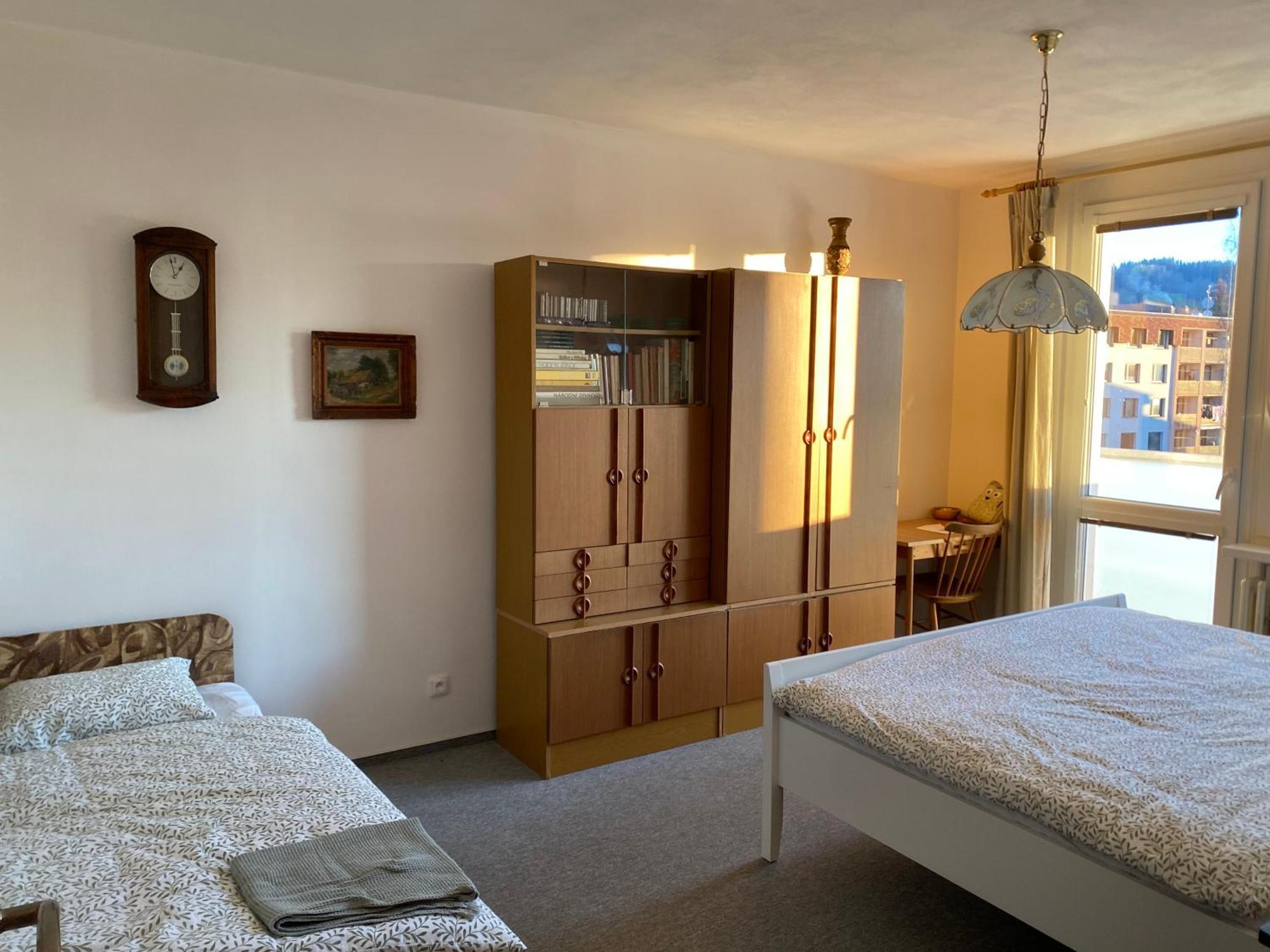 Apartman Pod Studenou Horou ロキトニツェ・ナト・イゼロウ エクステリア 写真